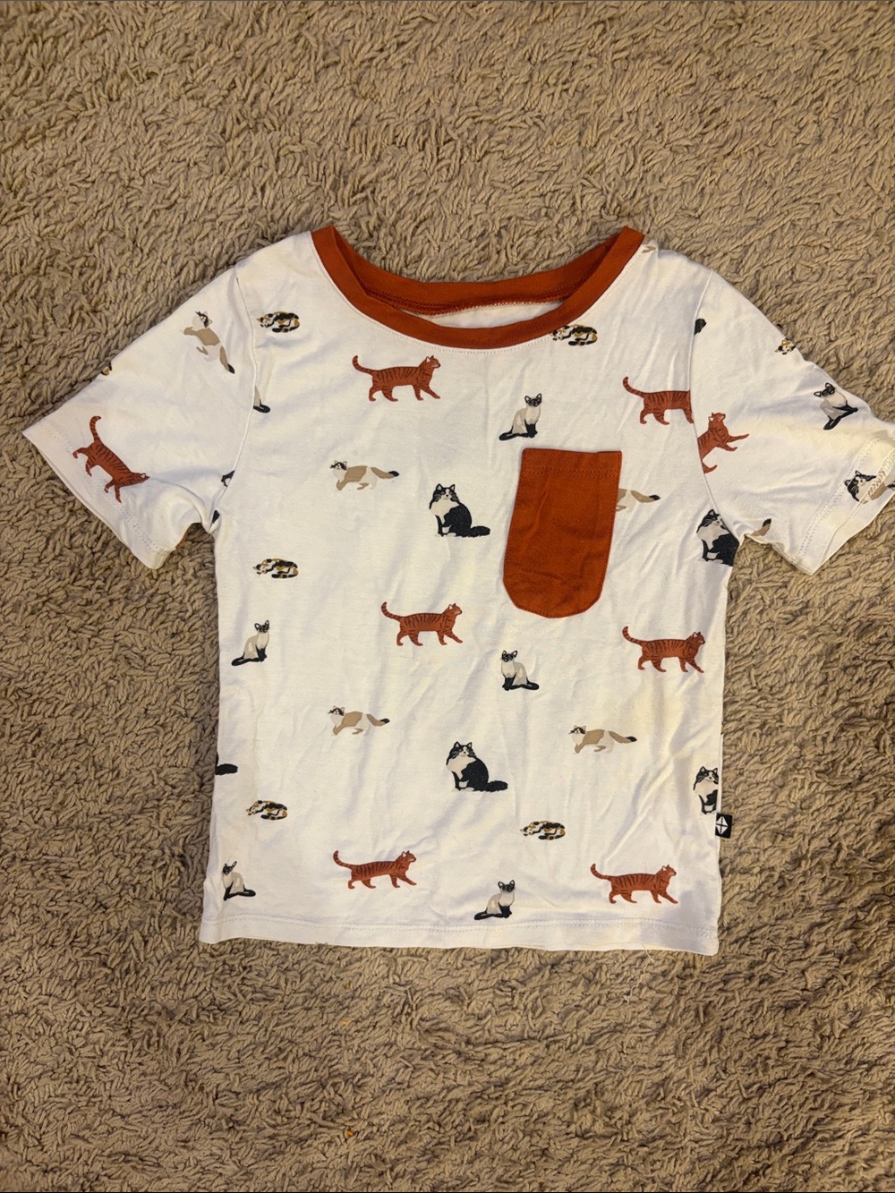 Kyte BABY Bamboo Crew T-Shirt w/ Cat Print and Rust Trim/Pocket. Like New. 2T.